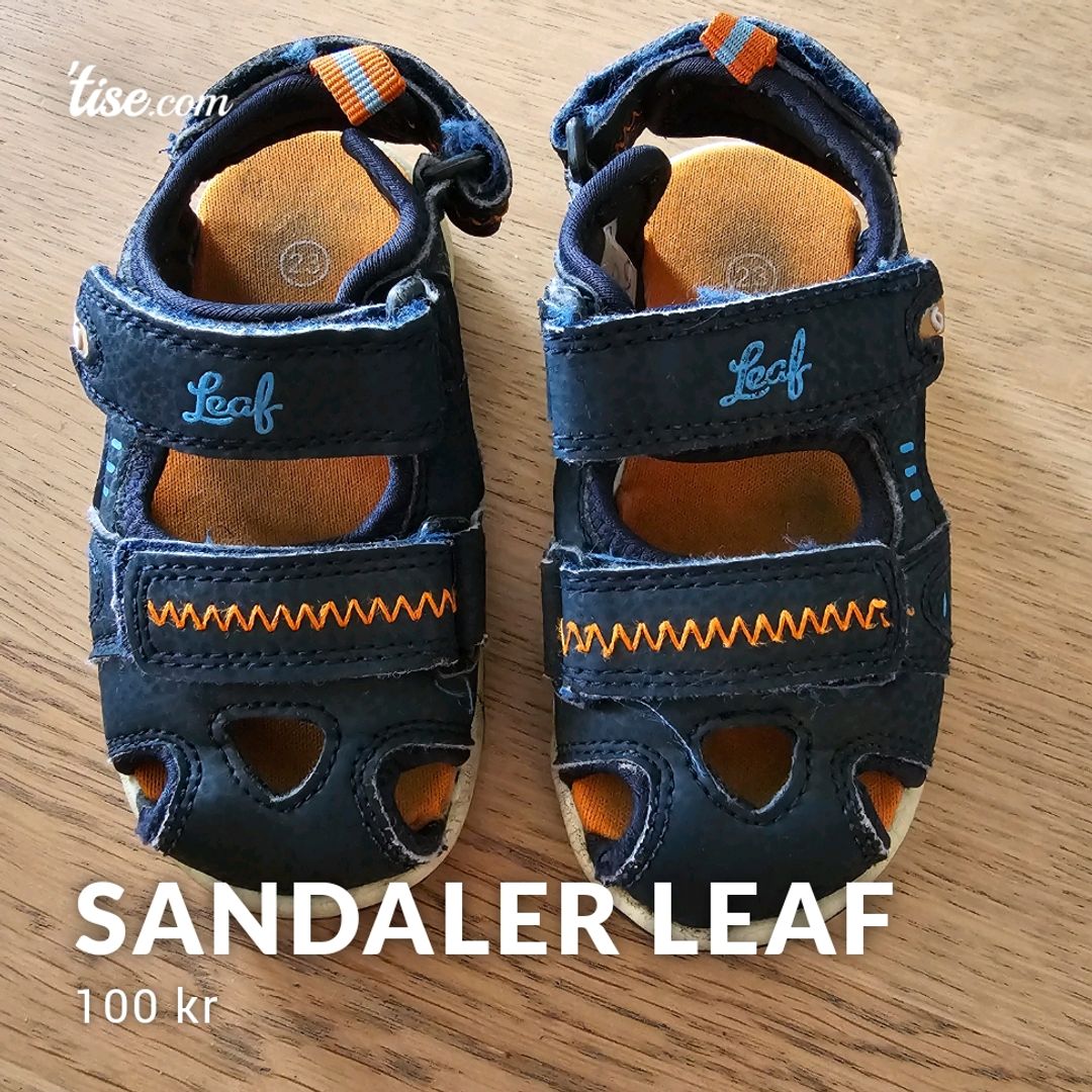 Sandaler Leaf