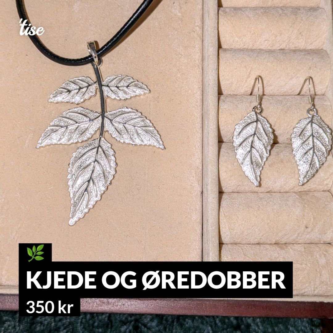 Kjede og øredobber