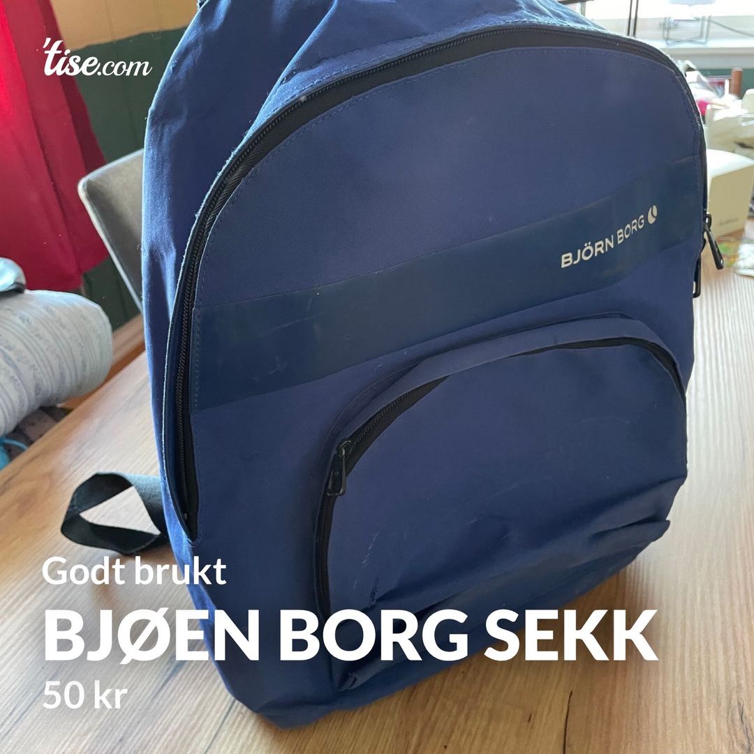 Bjøen borg sekk