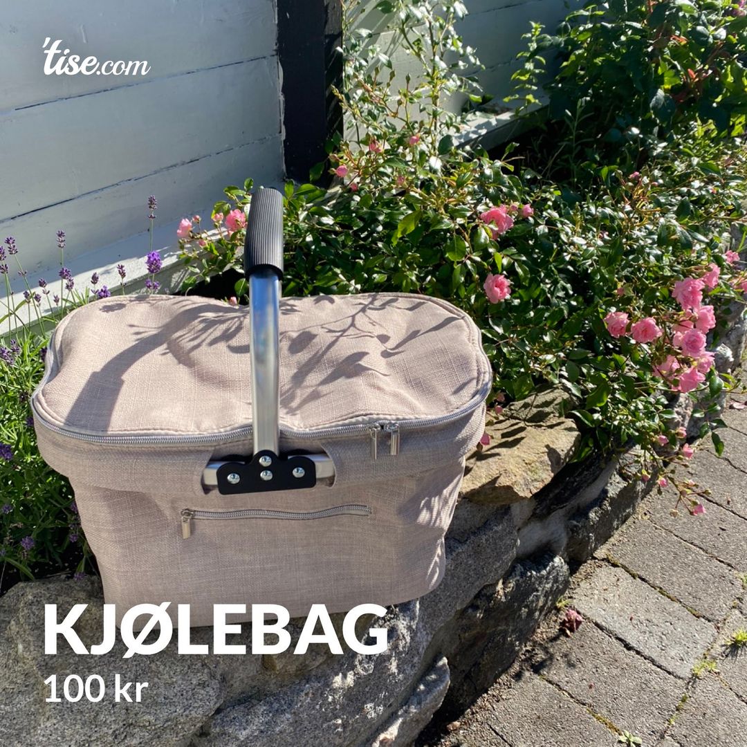 Kjølebag