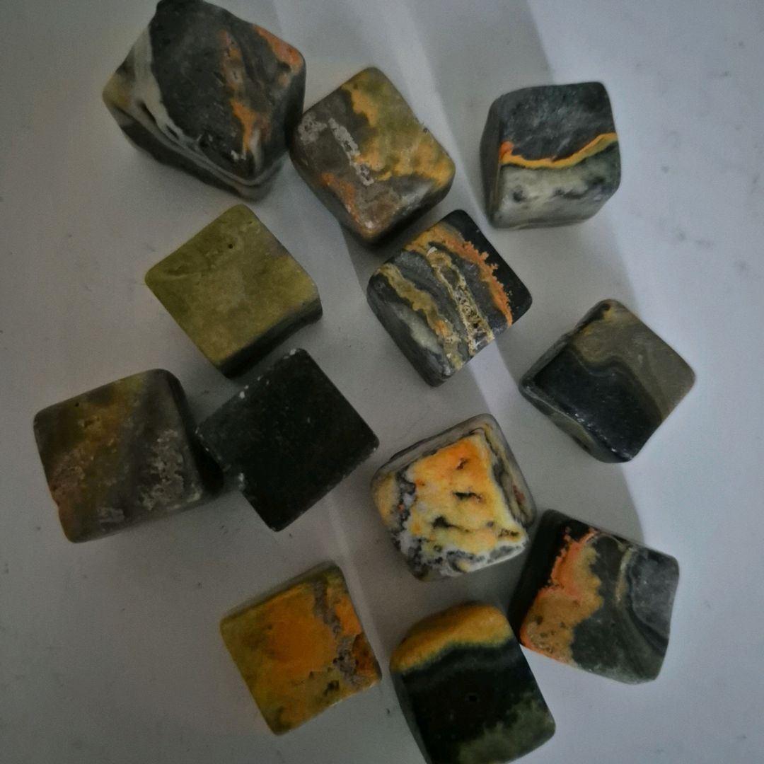 Bumblebee Jasper