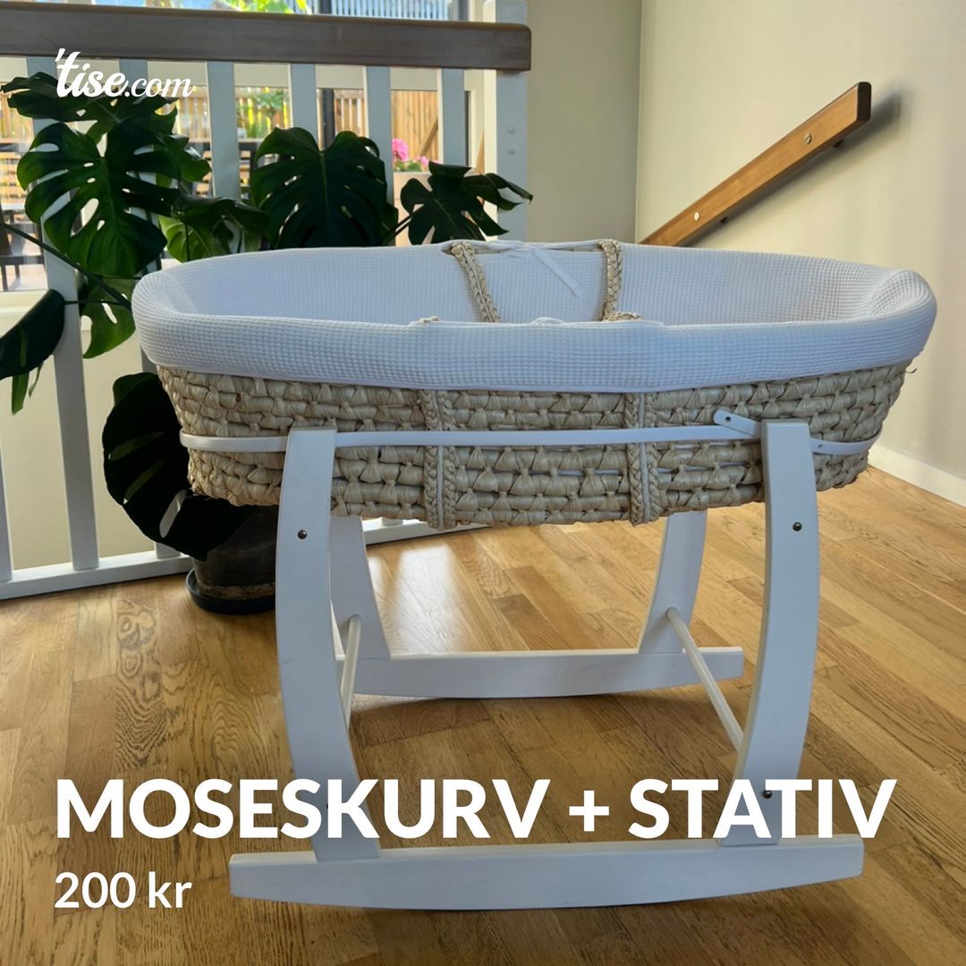 Moseskurv + stativ