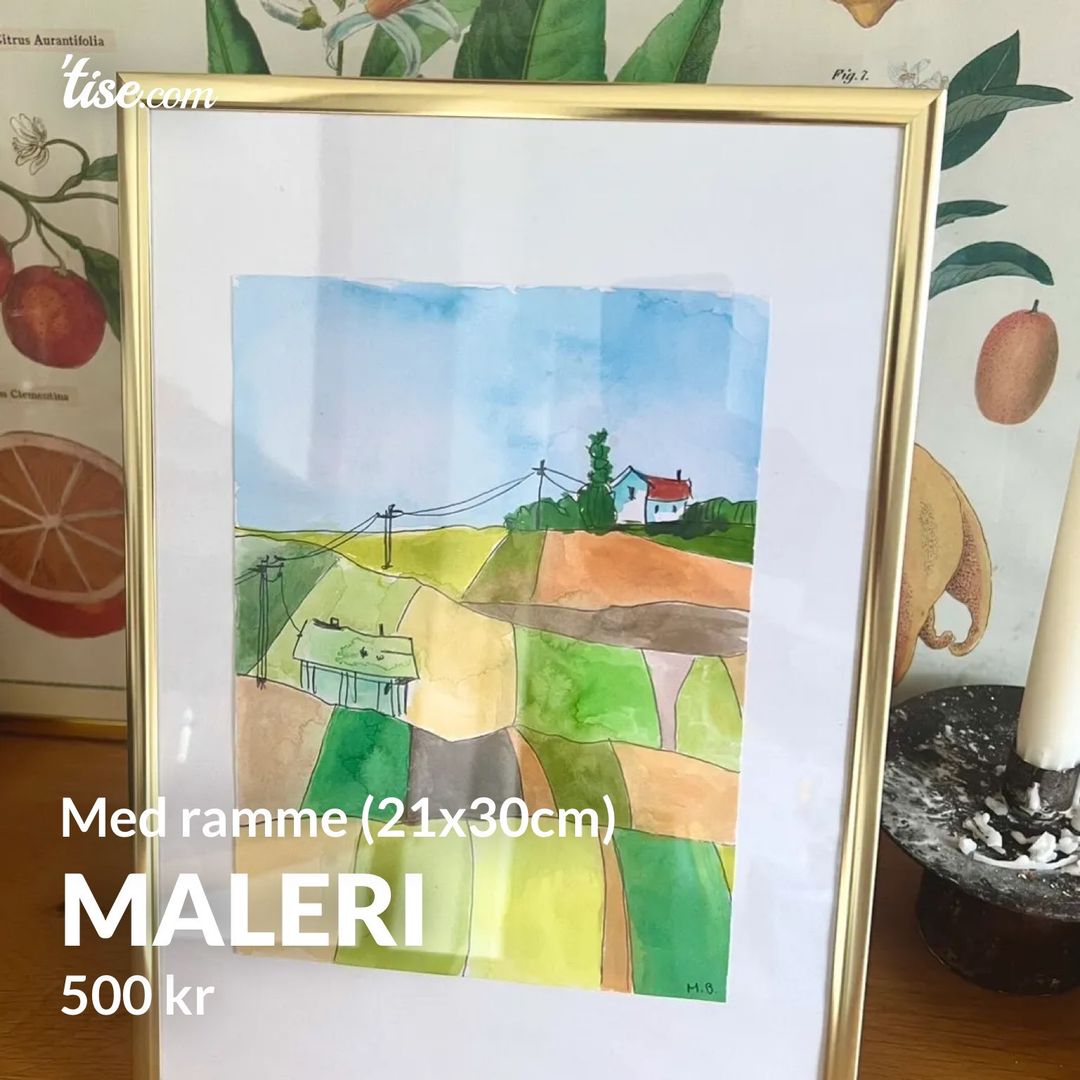 Maleri