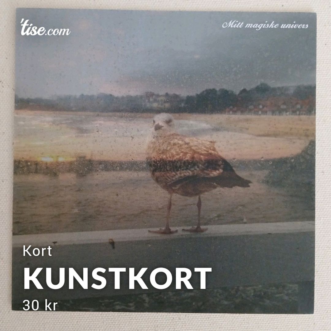 Kunstkort