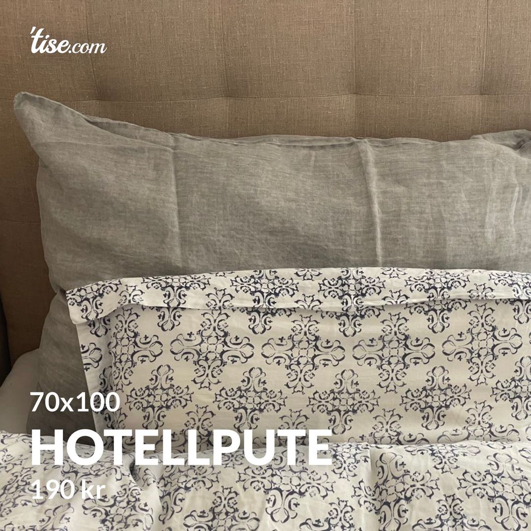 Hotellpute