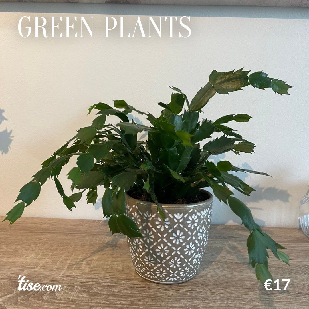 Green plants