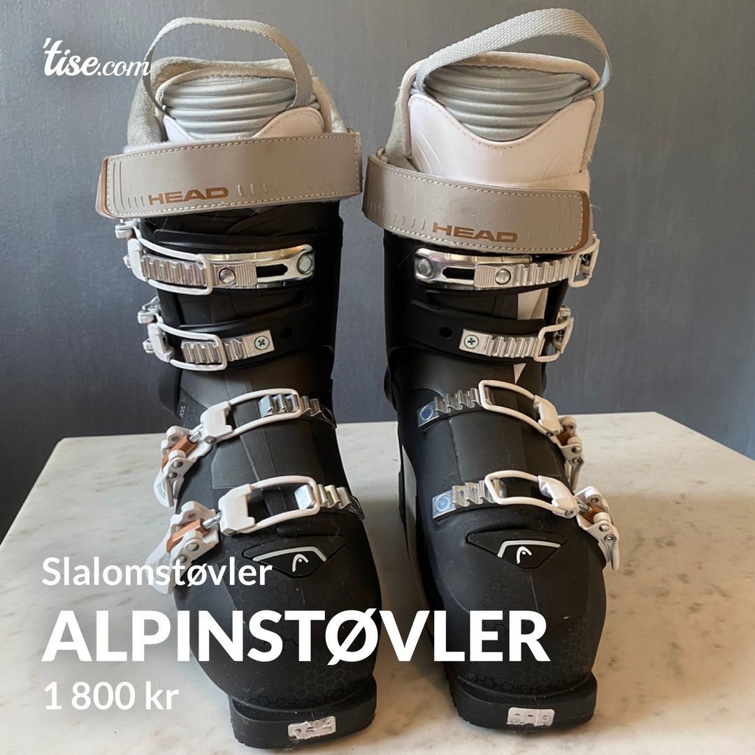 Alpinstøvler