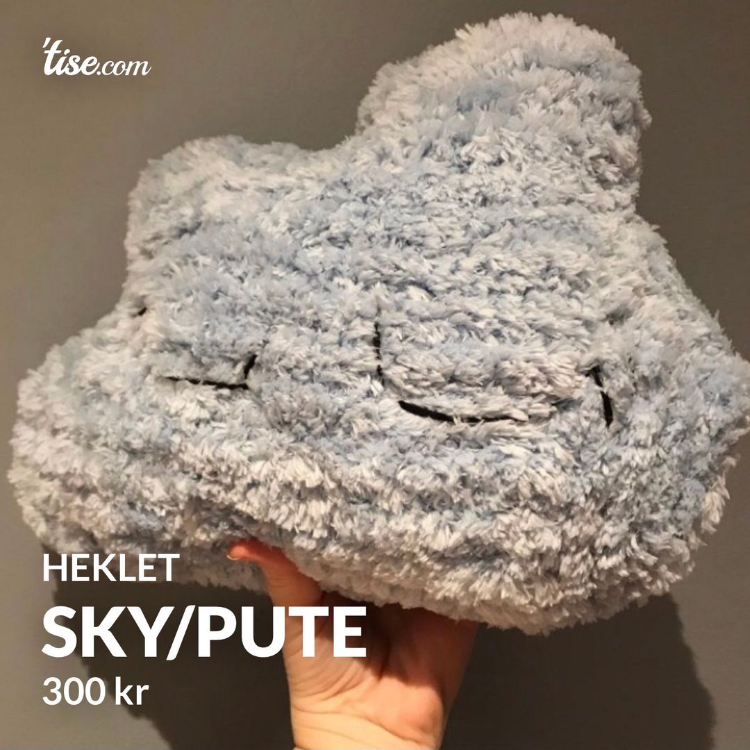 SKY/PUTE