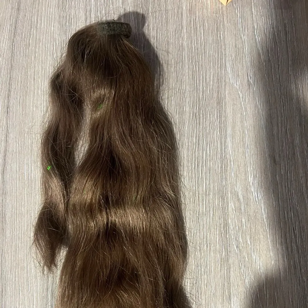 Rapunzel ponytail