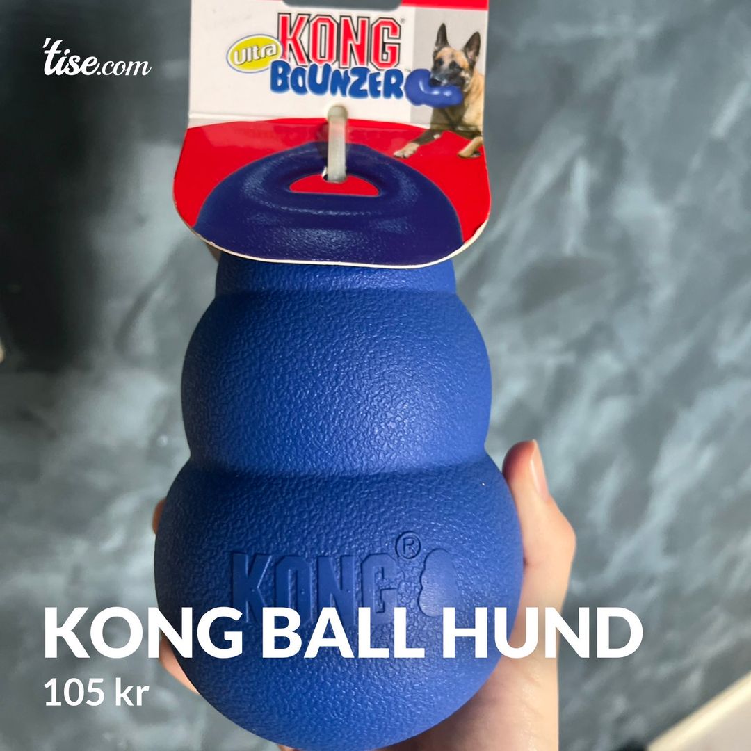 Kong Ball Hund