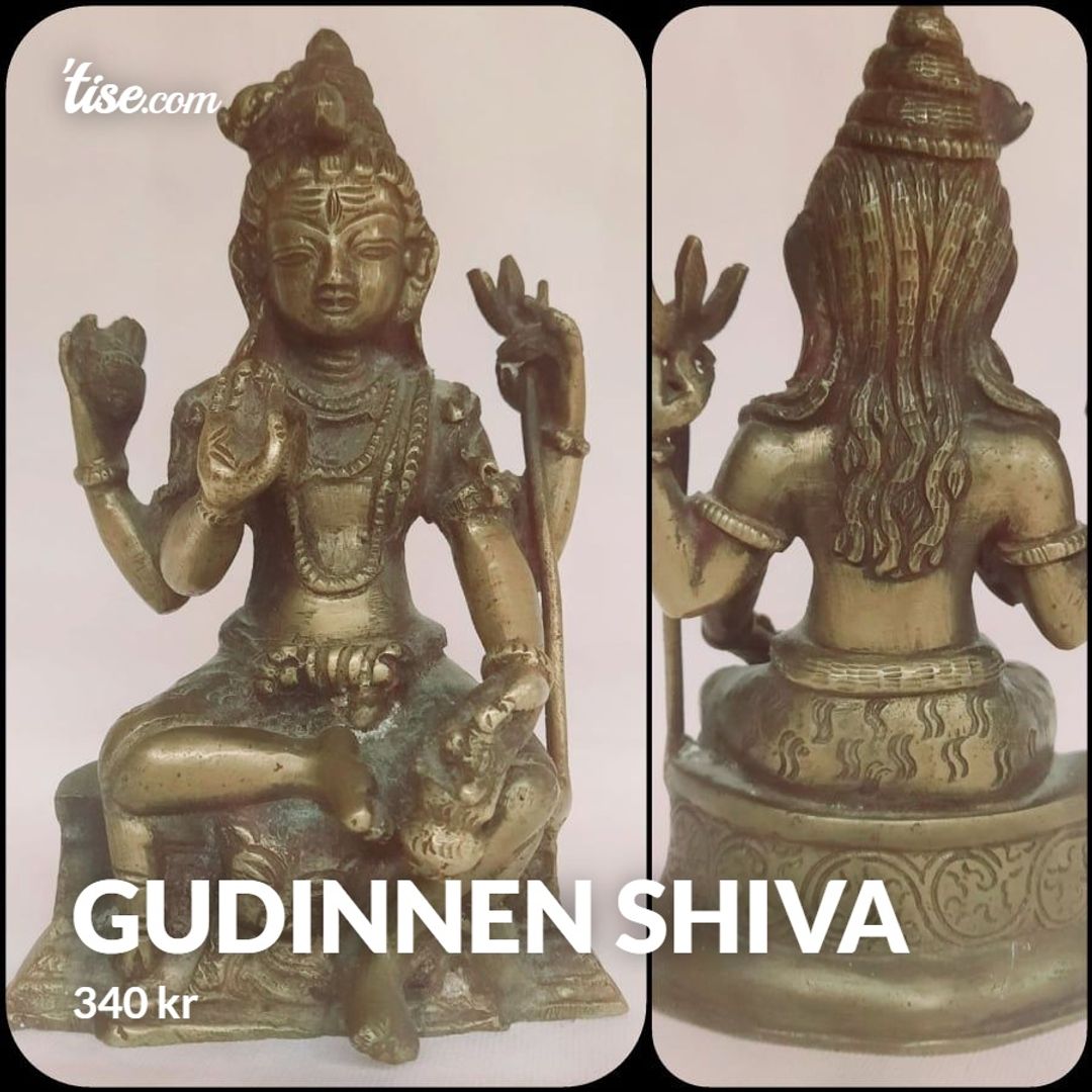 Gudinnen Shiva