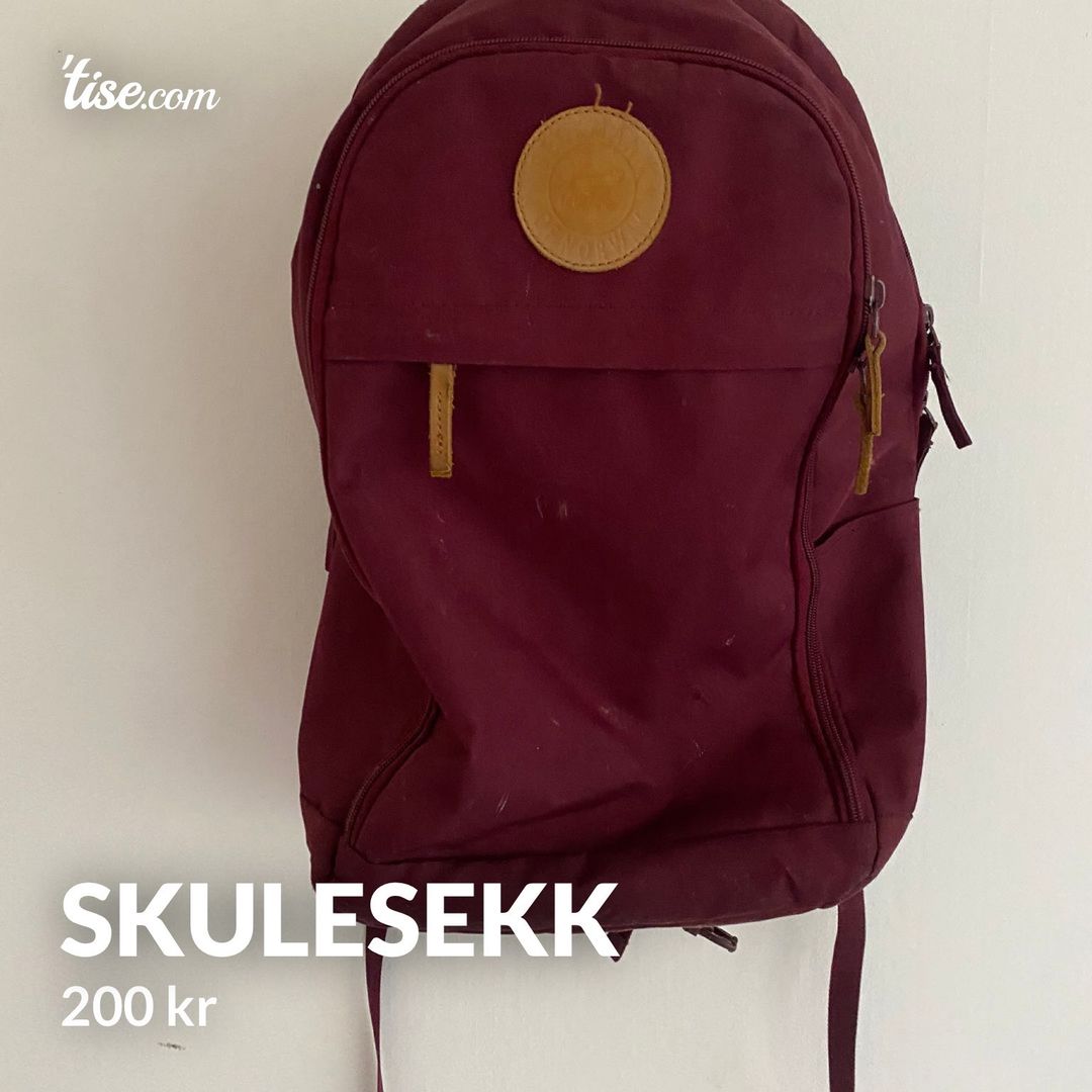 Skulesekk