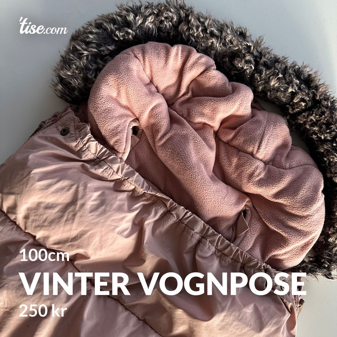 Vinter vognpose