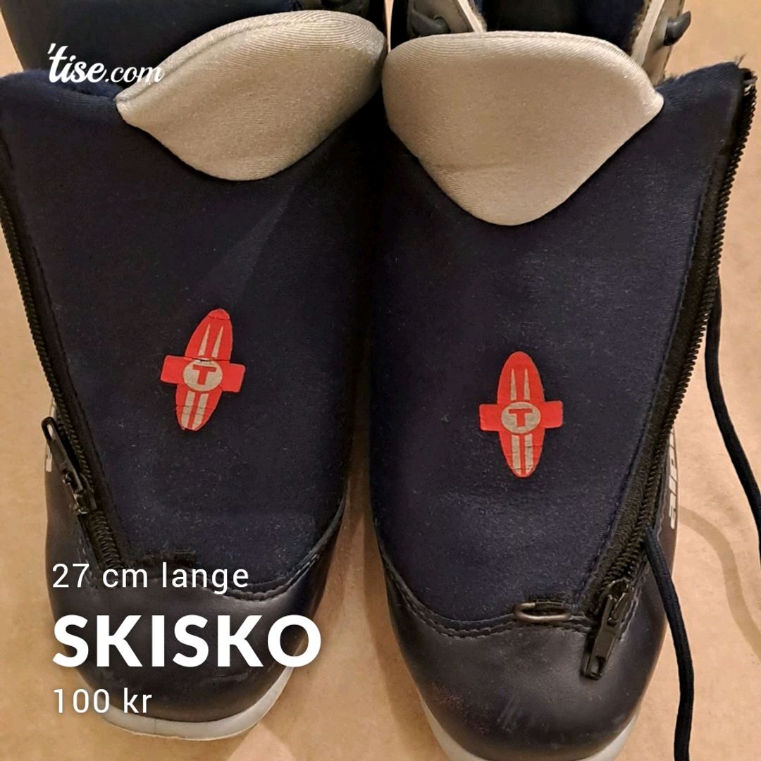 Skisko