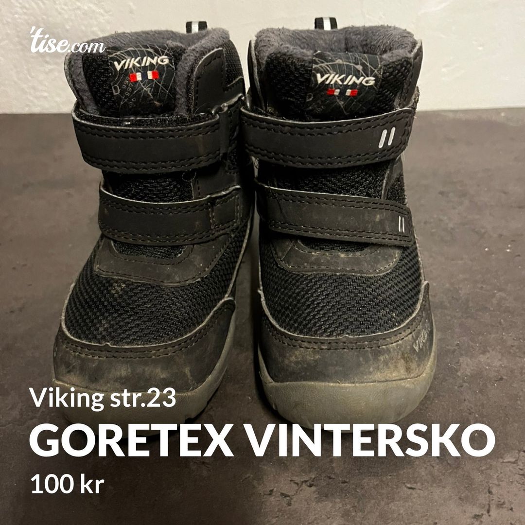 Goretex vintersko