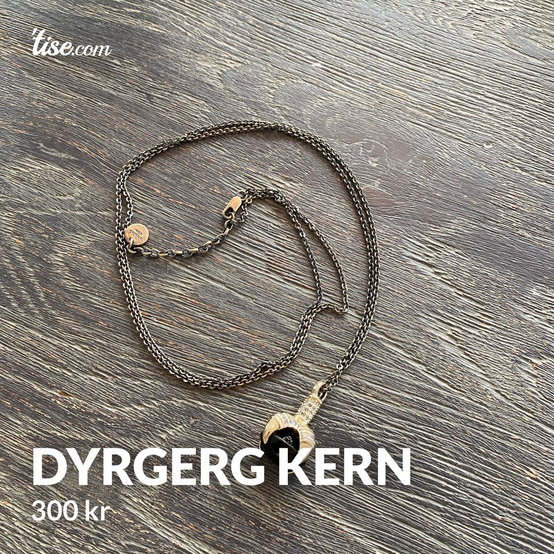 Dyrgerg kern