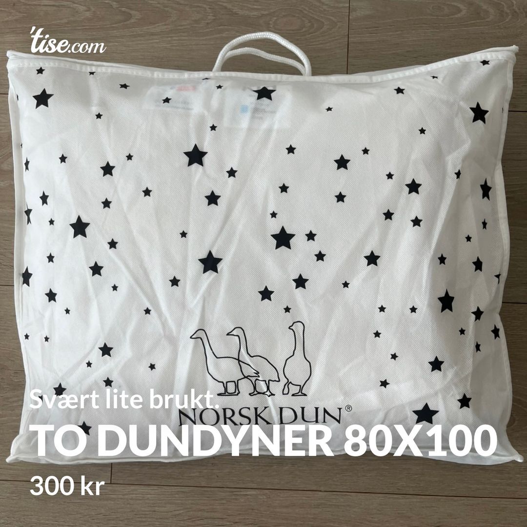 To dundyner 80x100