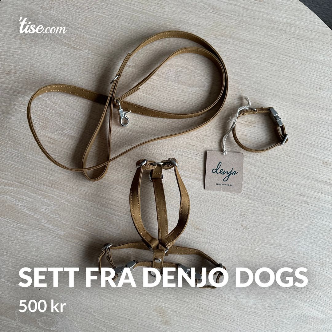 Sett fra denjo dogs