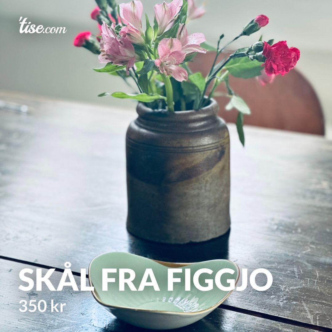 Skål fra Figgjo