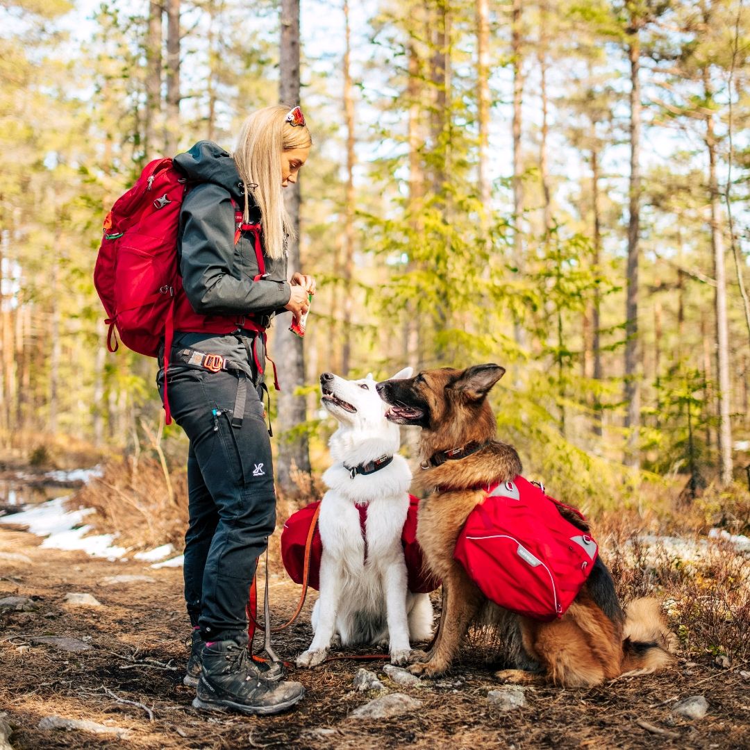 Ruffwear Kløv