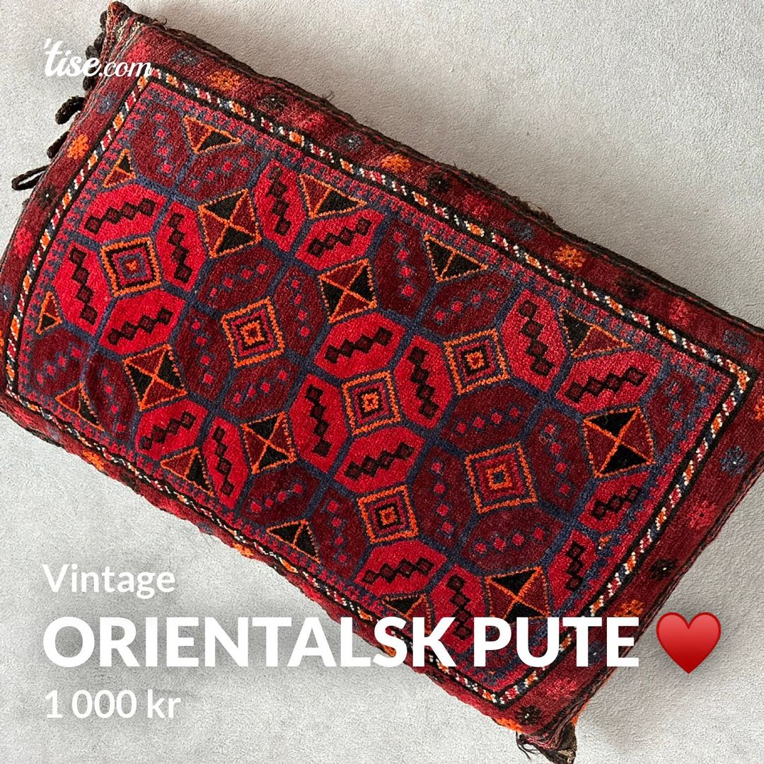 Orientalsk pute ♥️