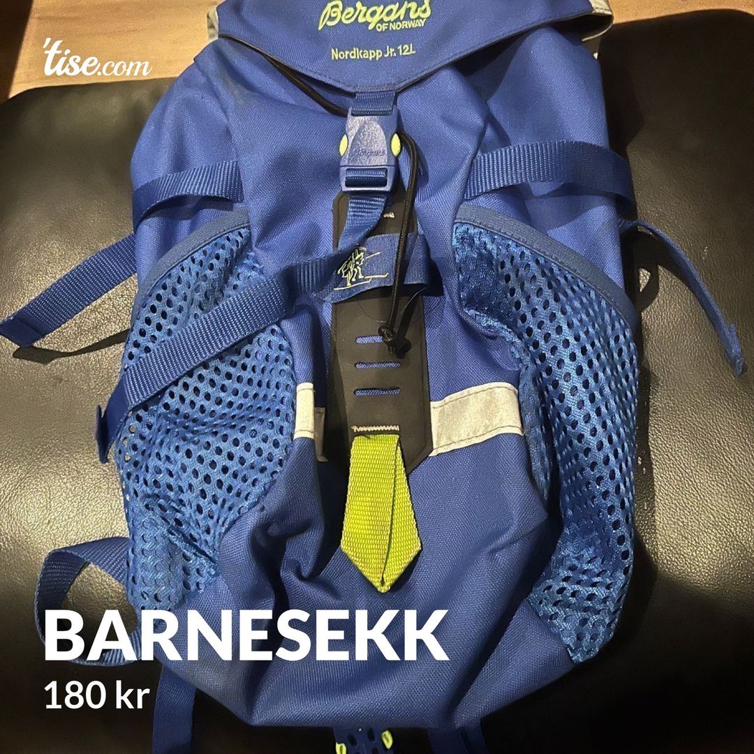 Barnesekk