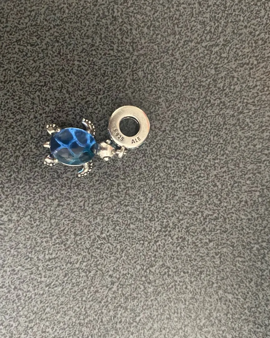 Pandora charm