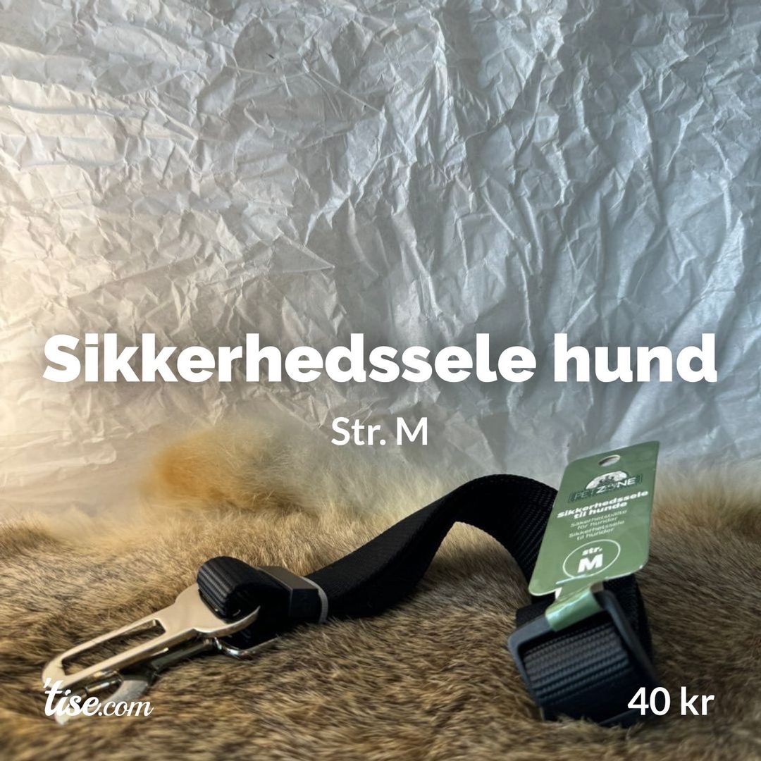 Sikkerhedssele hund