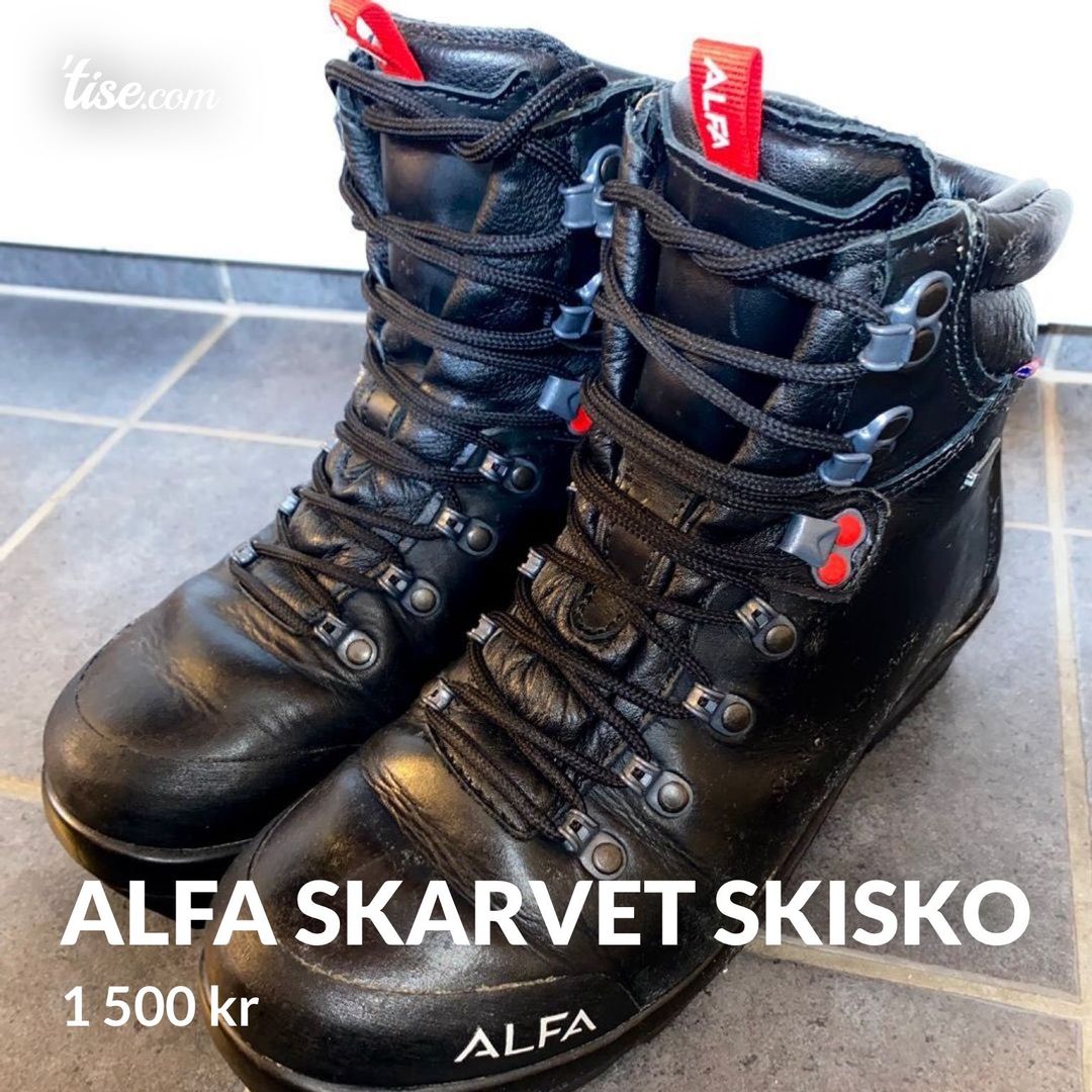 Alfa skarvet skisko