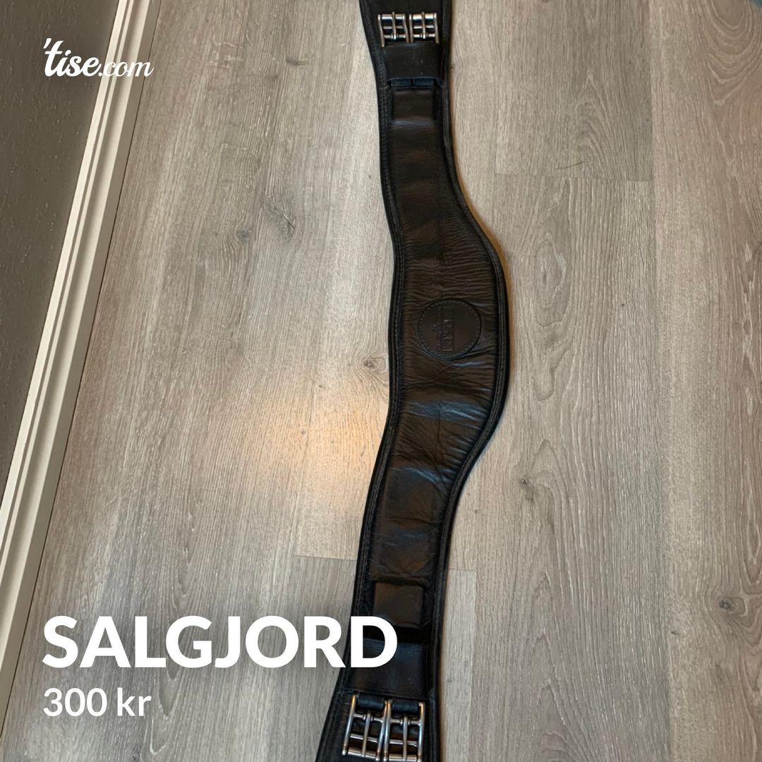 Salgjord