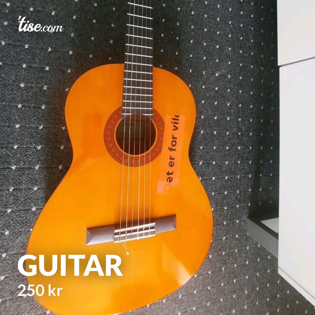 Guitar