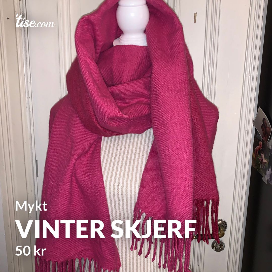 Vinter skjerf