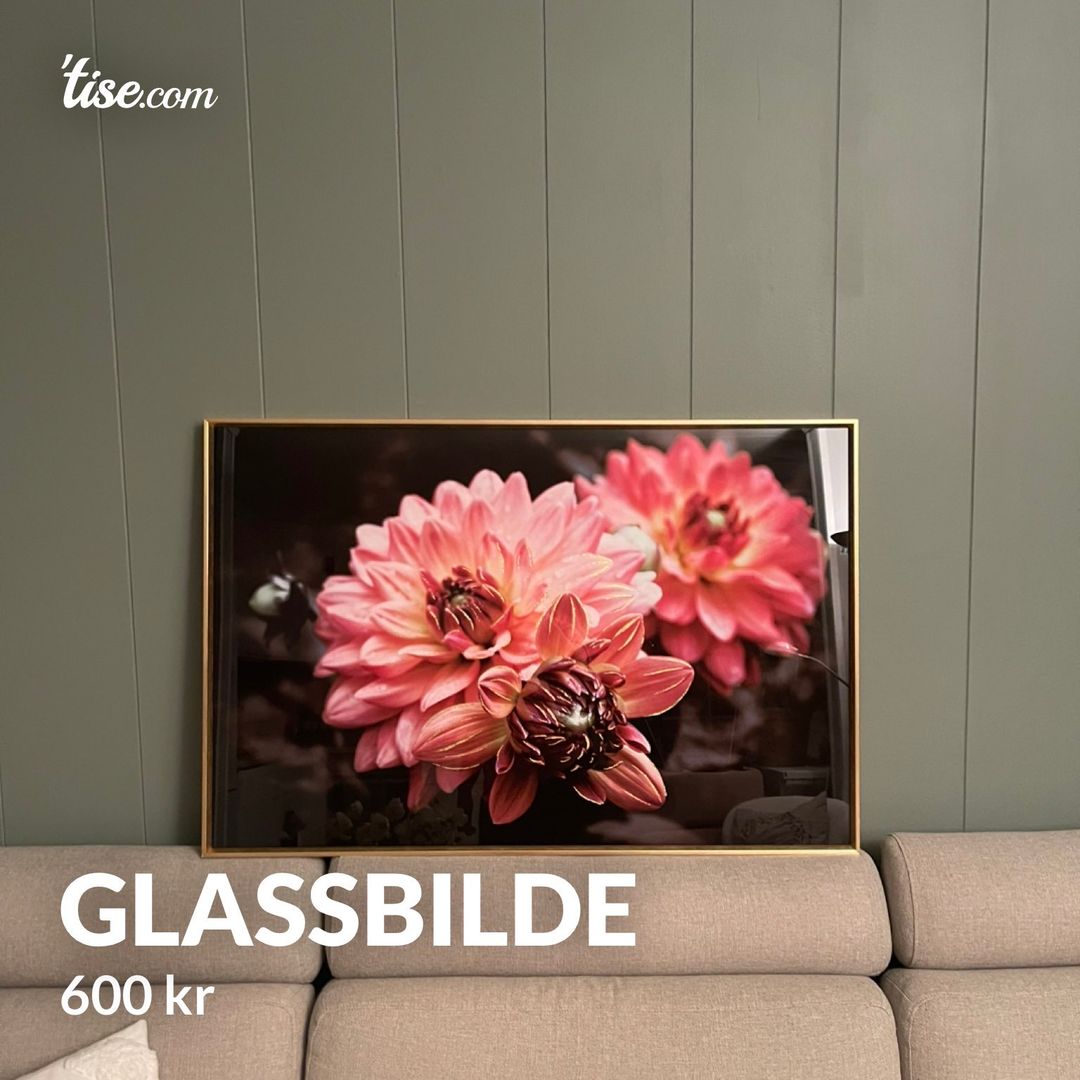 Glassbilde