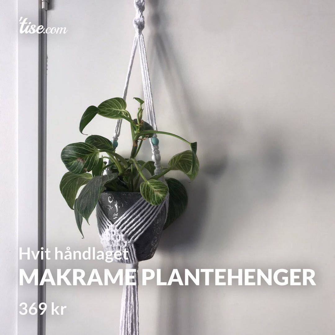 Makrame plantehenger