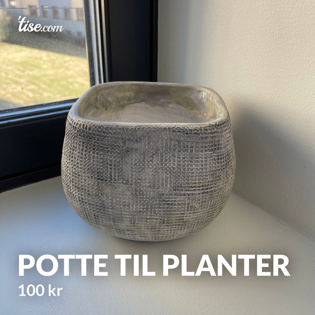 Potte til planter