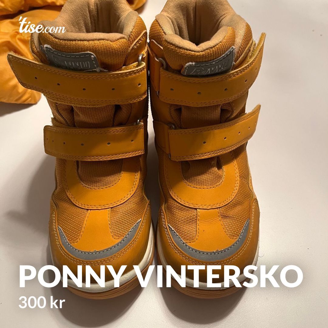 Ponny vintersko