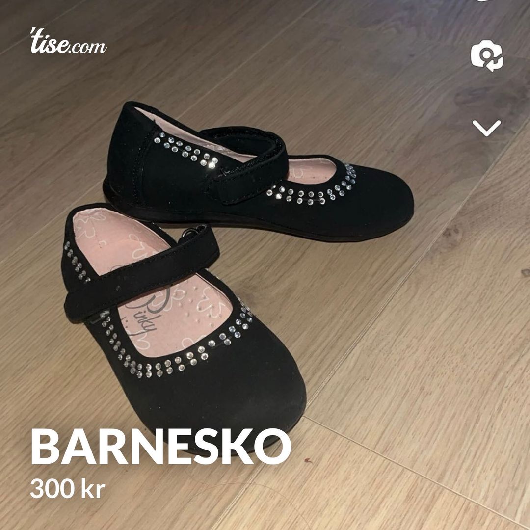 Barnesko