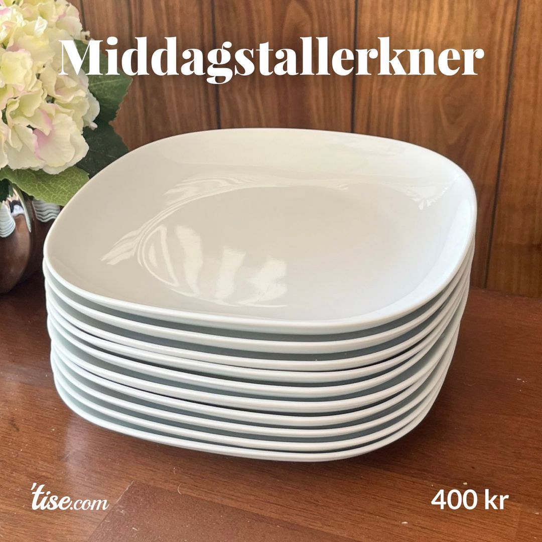 Middagstallerkner