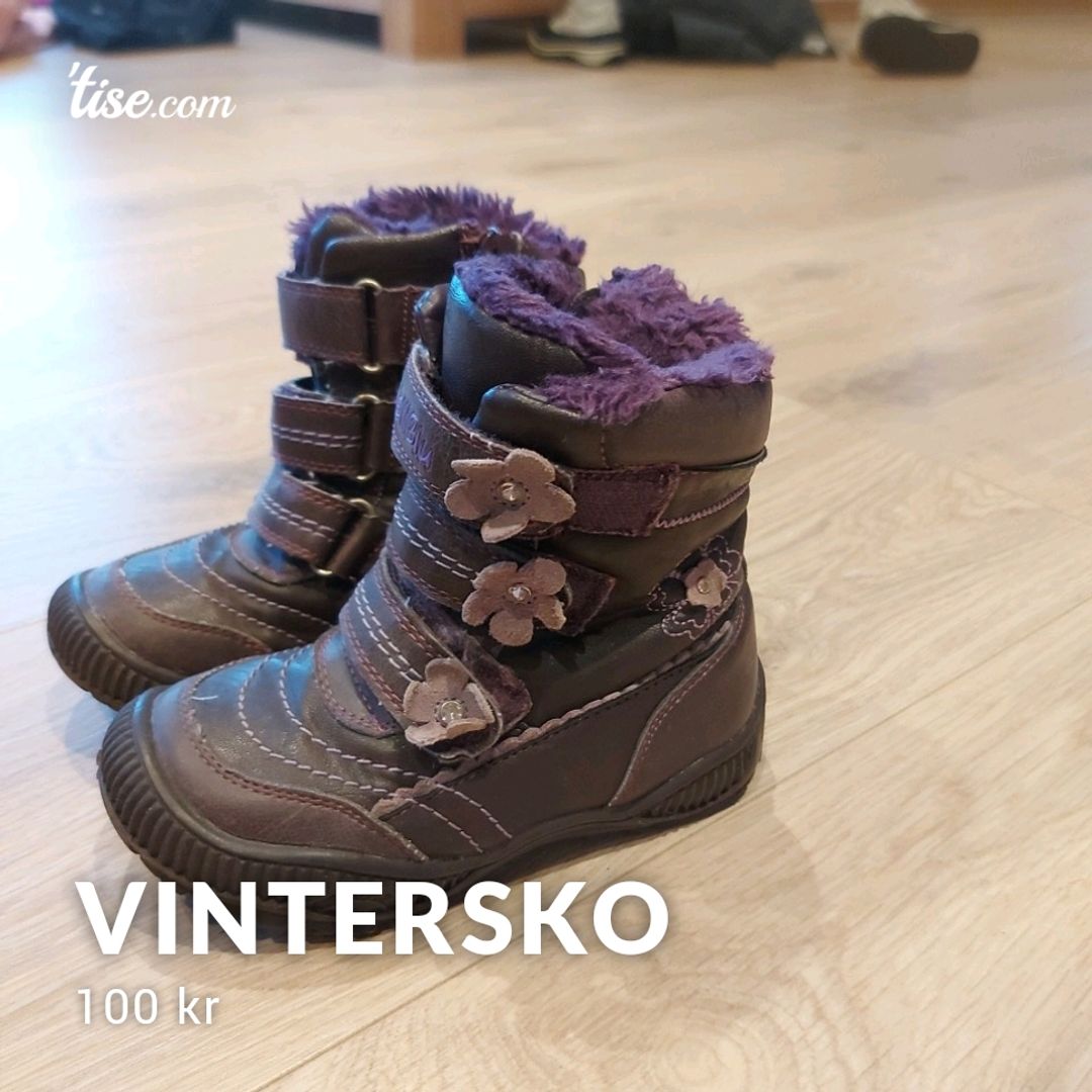 Vintersko