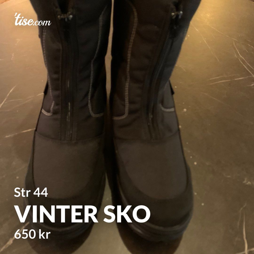 Vinter sko