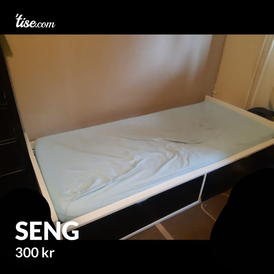 Seng