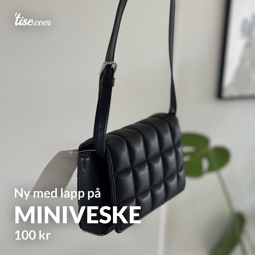 Miniveske