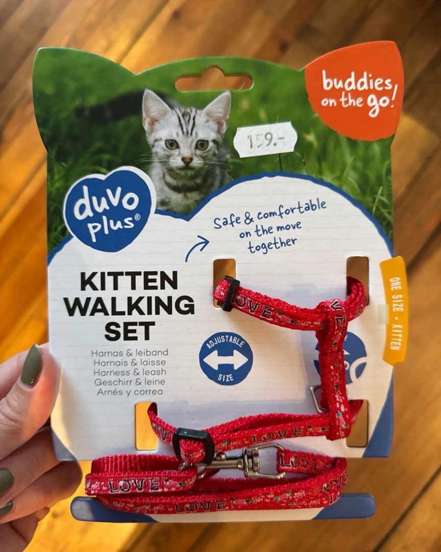 Kitten walking set