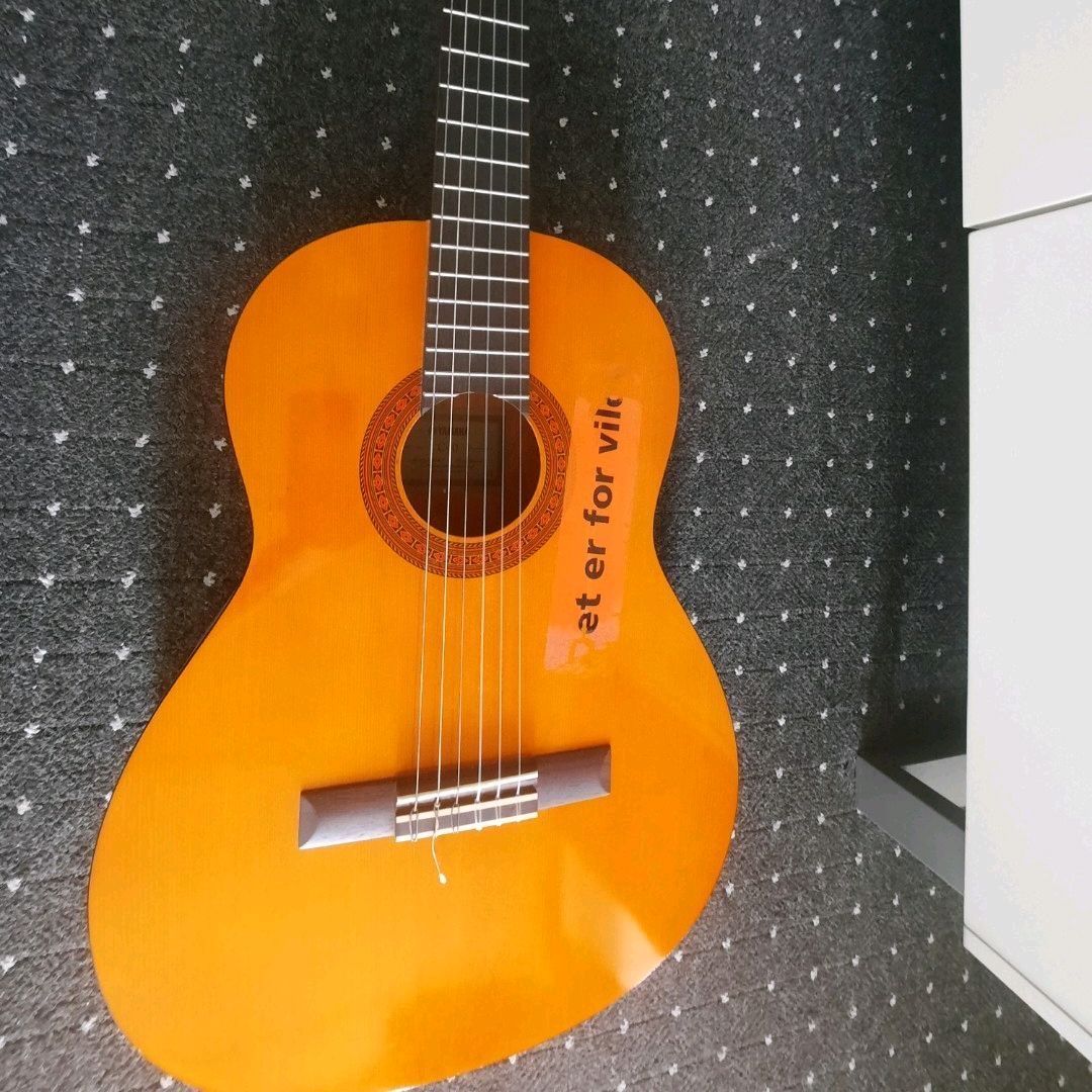 Guitar