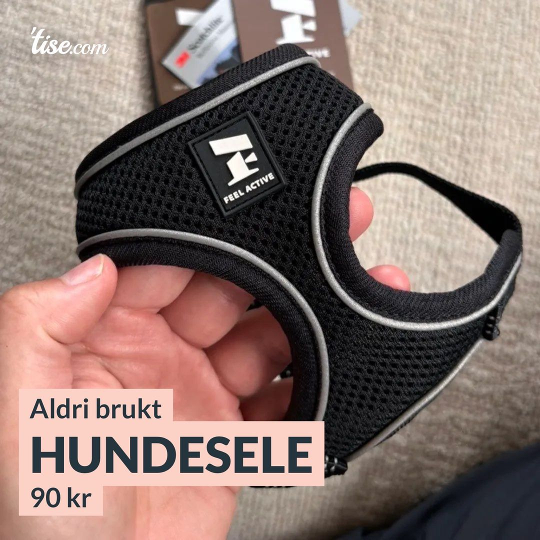 Hundesele