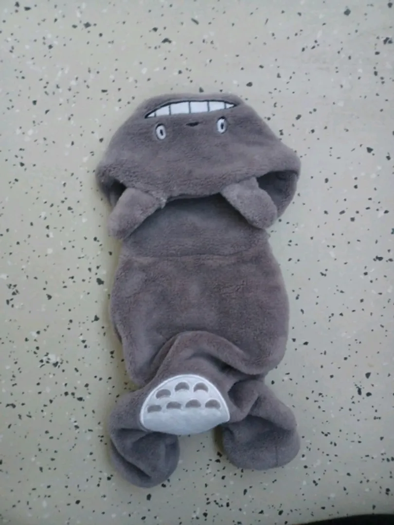 Totoro Asu