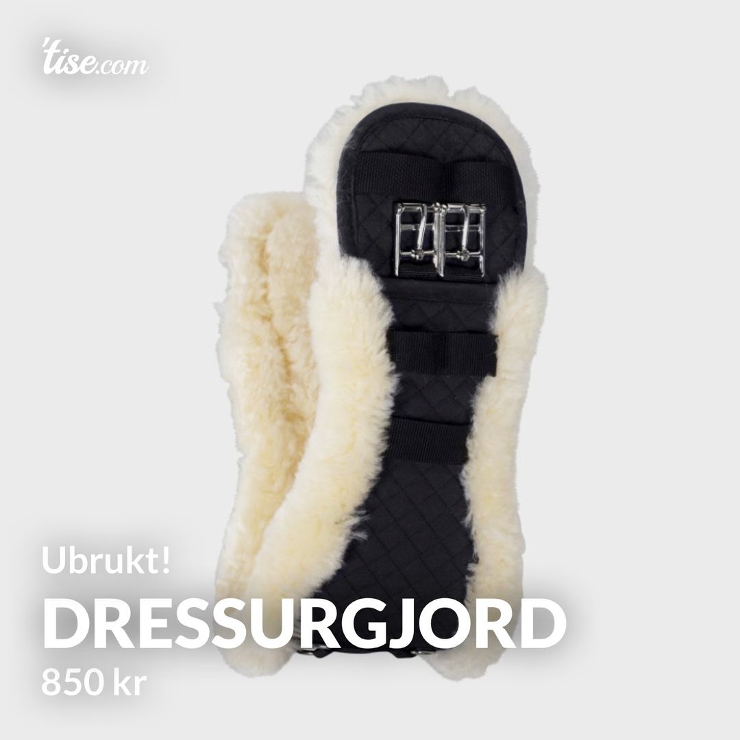 Dressurgjord