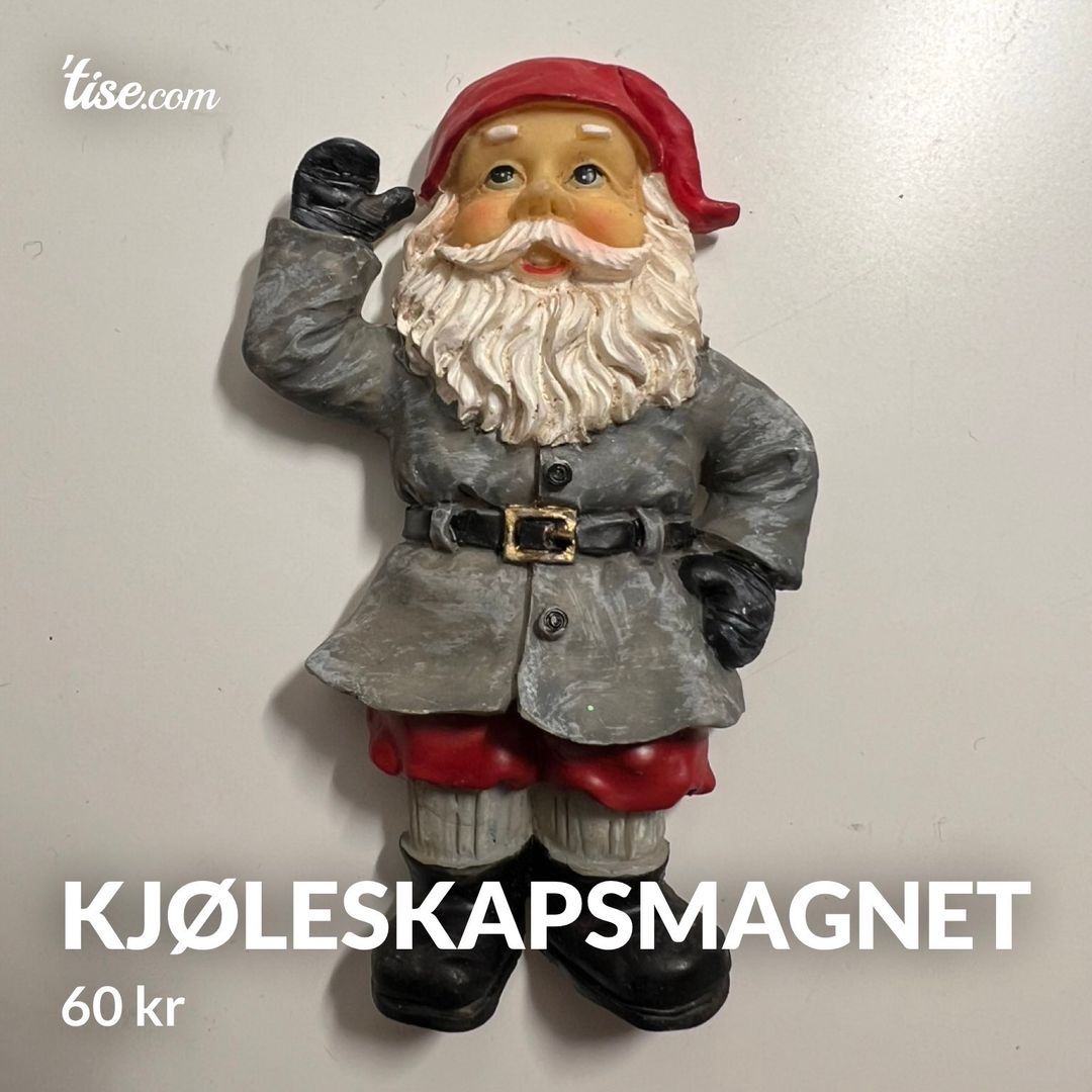 Kjøleskapsmagnet