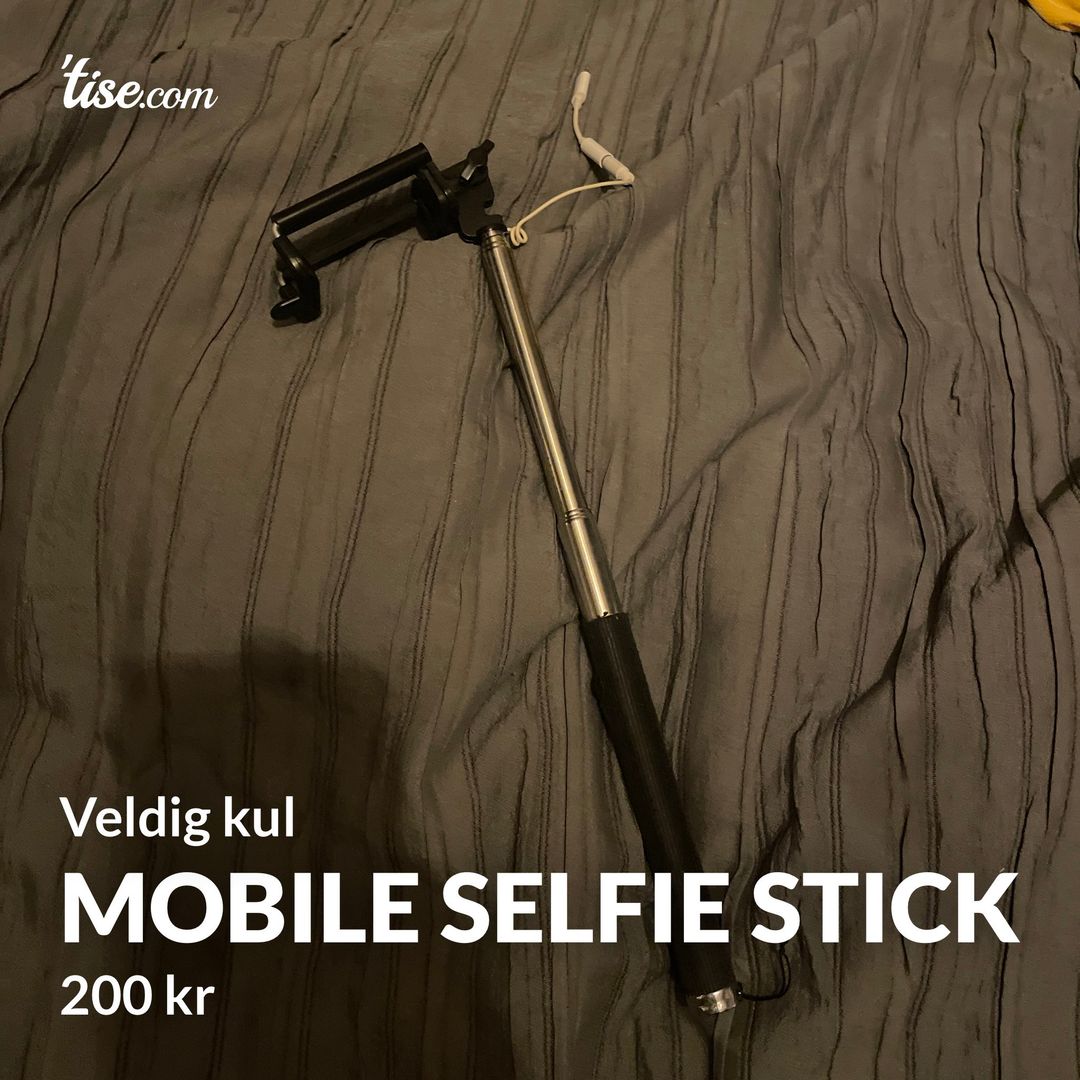 Mobile selfie stick