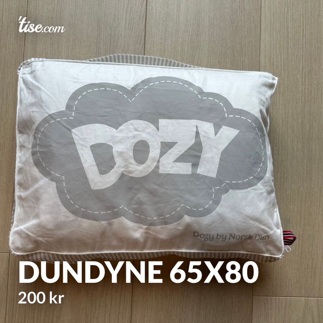 Dundyne 65x80